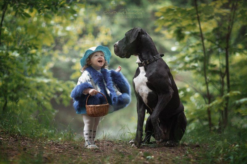 We go for mushrooms!