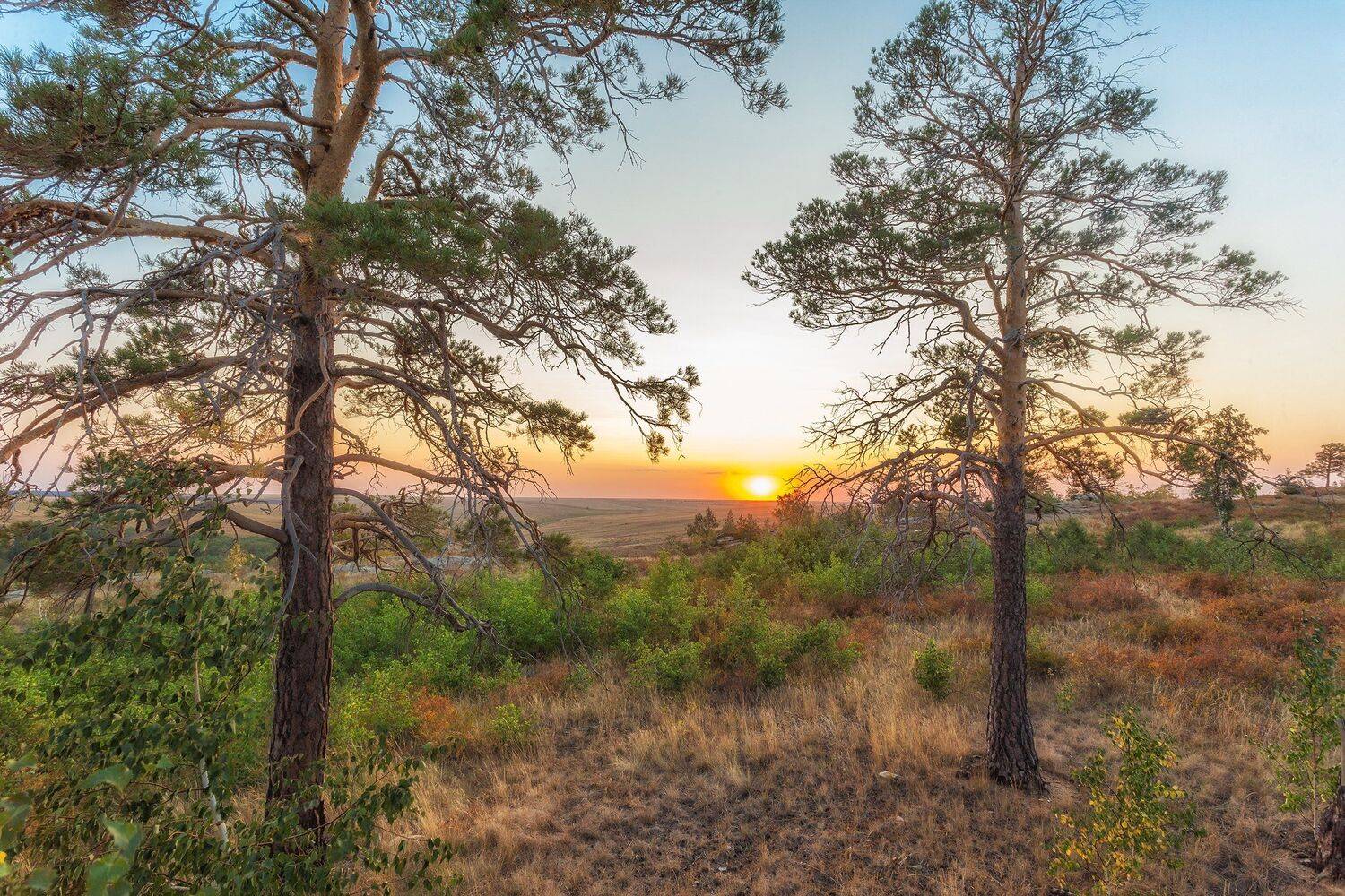 , Павел Сагайдак