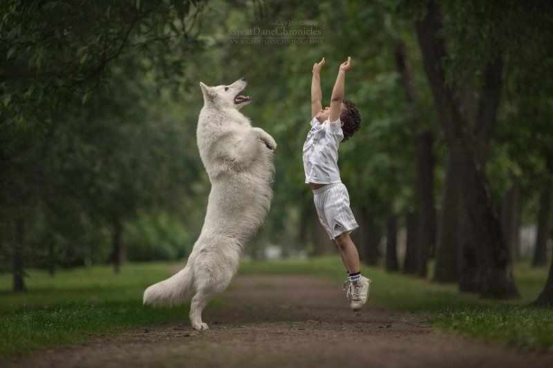Who is higher? фото превью