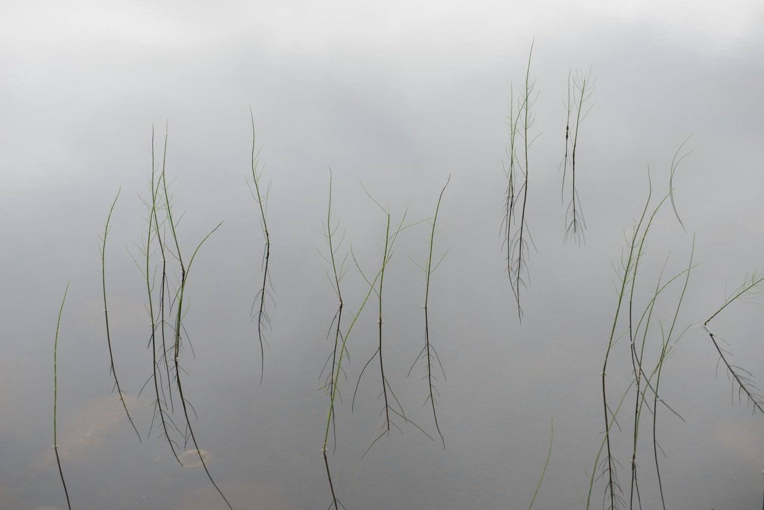 териберка, Ирина