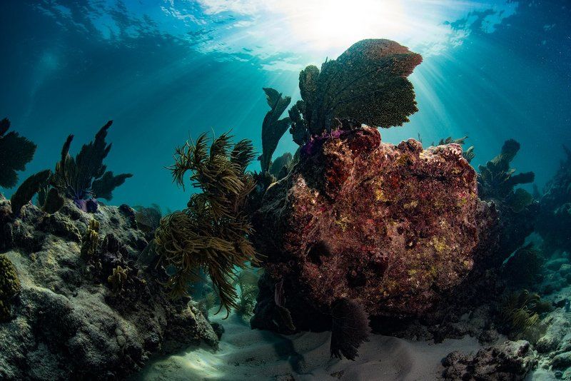 *** фото превью