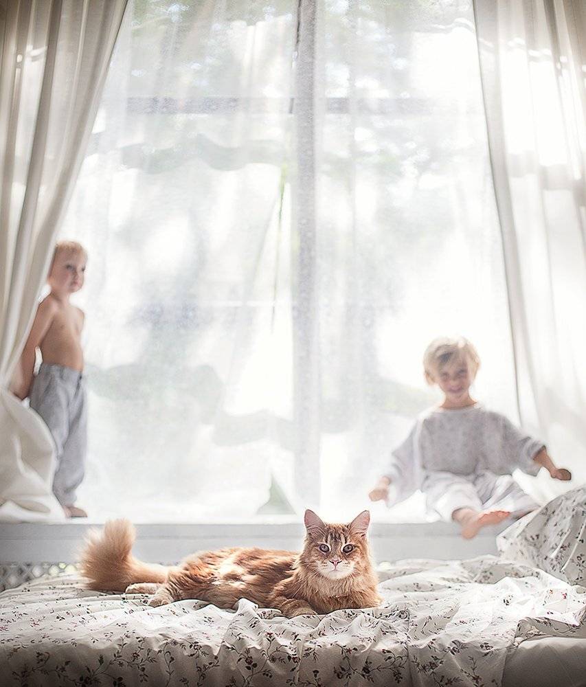 , Диана Аникеева