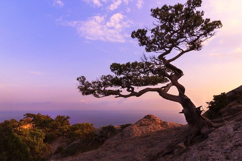 Вслед за солнцем фото превью