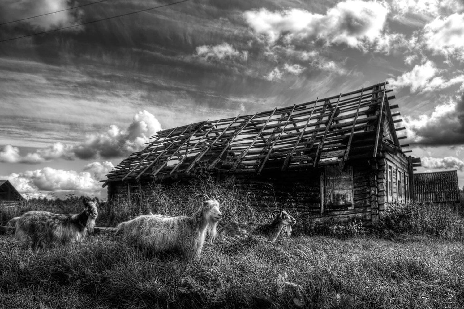 карелия, Виктор