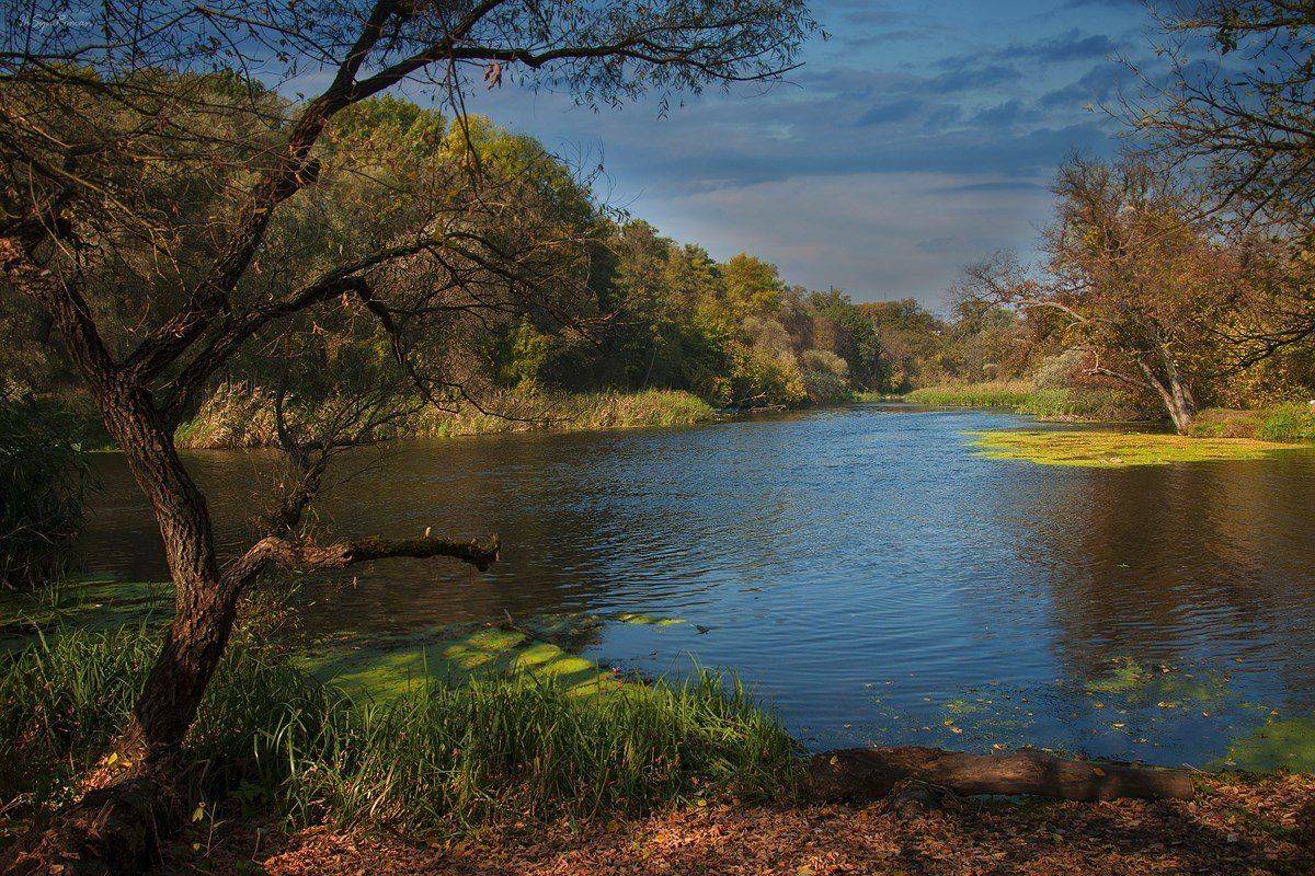 осень,утро,берег,река, Roma  Chitinskiy