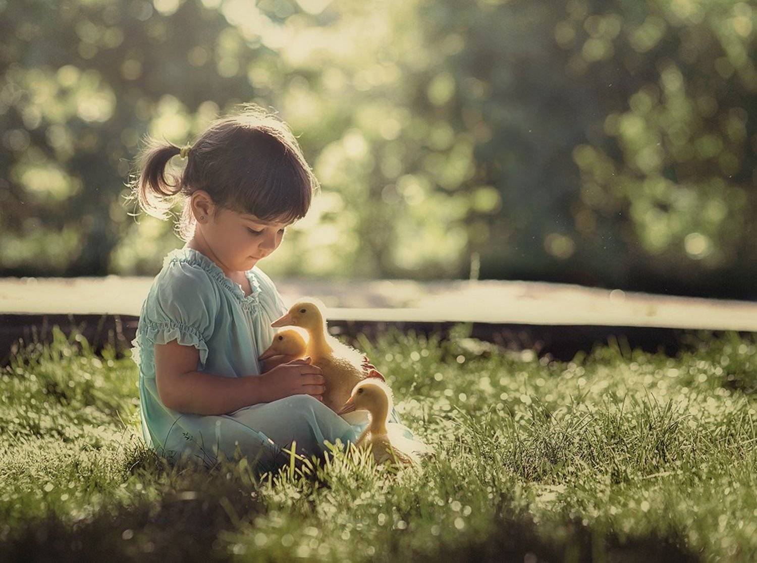 девочка утята лето утро, Иванна Климшина