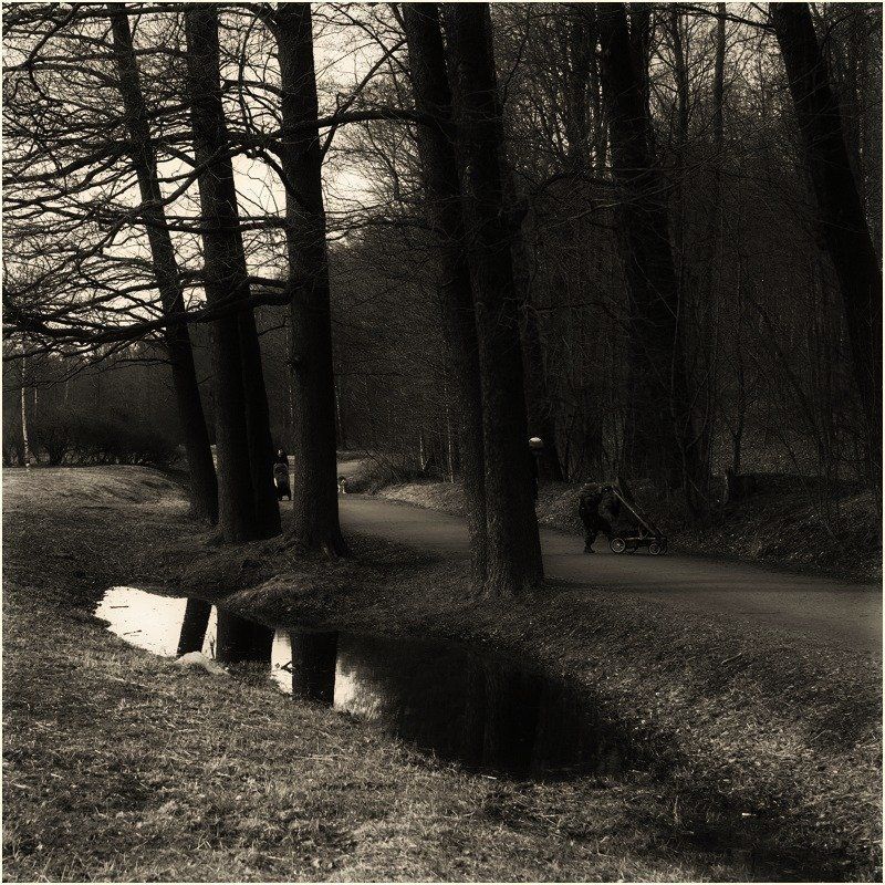 478 фото превью