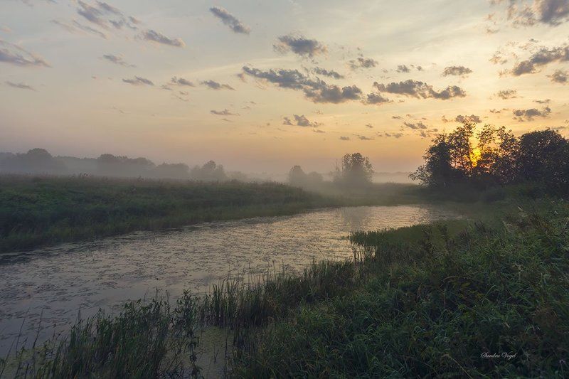 рассвет, река, туман, паутина Рассвет на реке Тьма фото превью