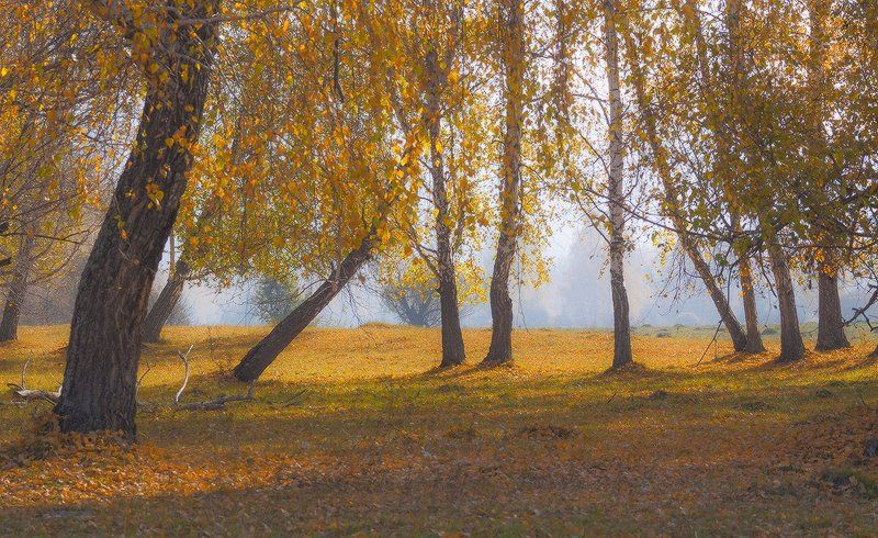 Сентябрь уж наступил фото превью