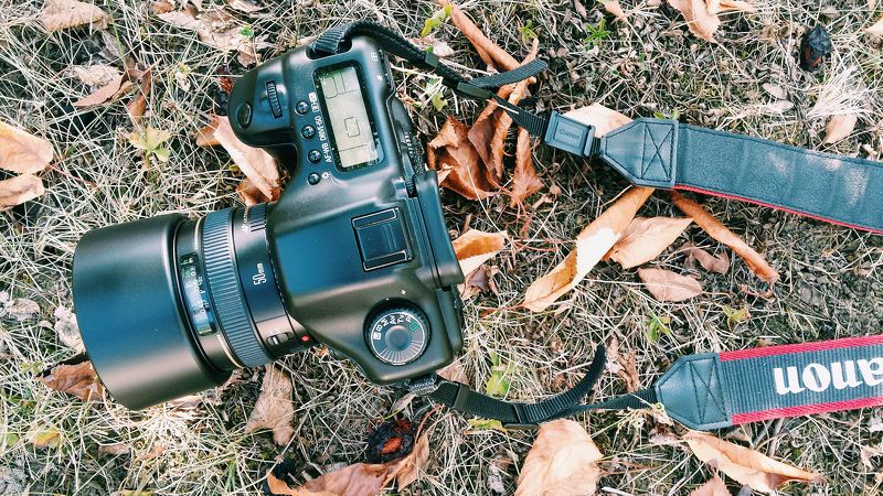 Canon фото превью