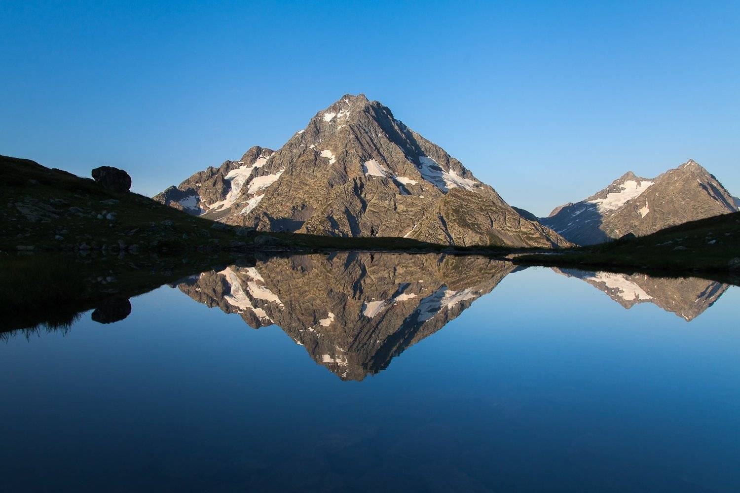 , Дмитрий Кривопалов