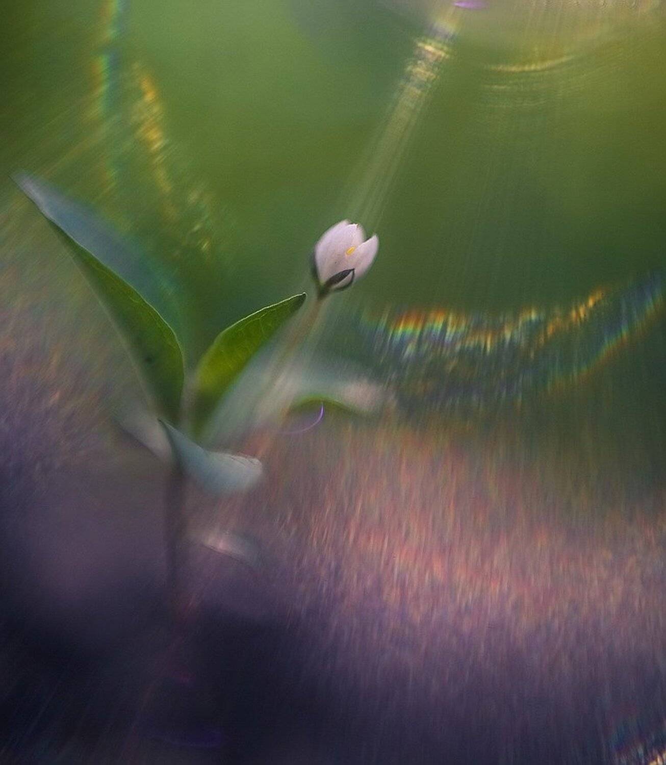 , Вячеслав Мищенко