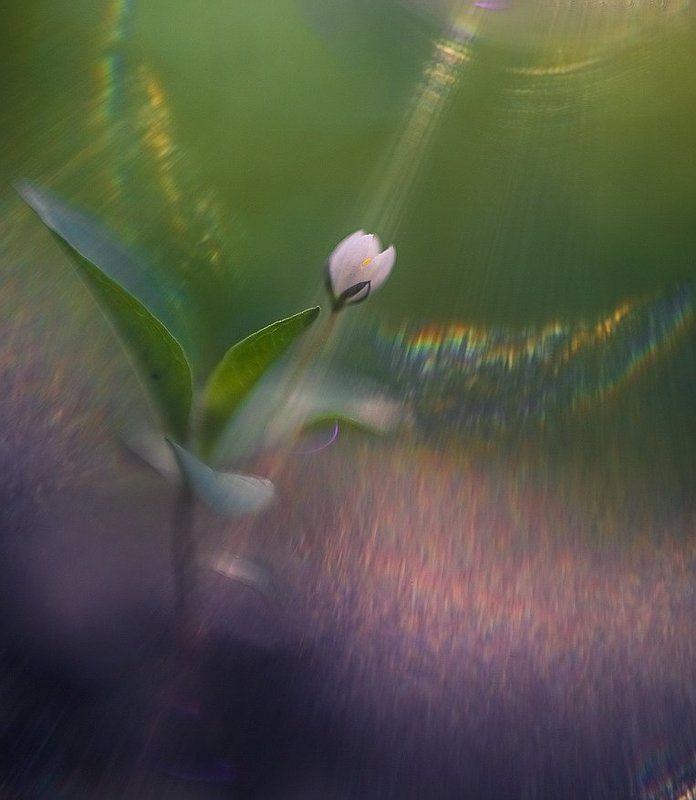 Душа фото превью