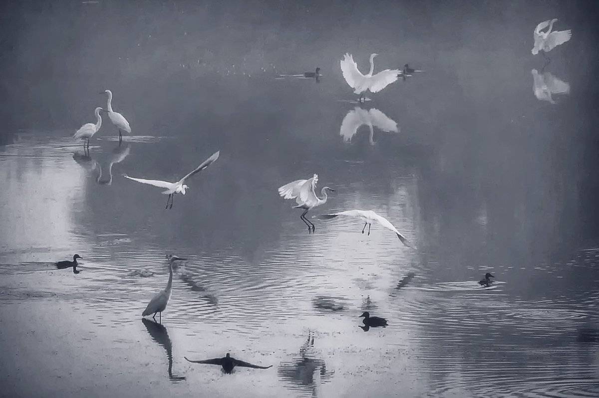 ***, Валерий Кондратов