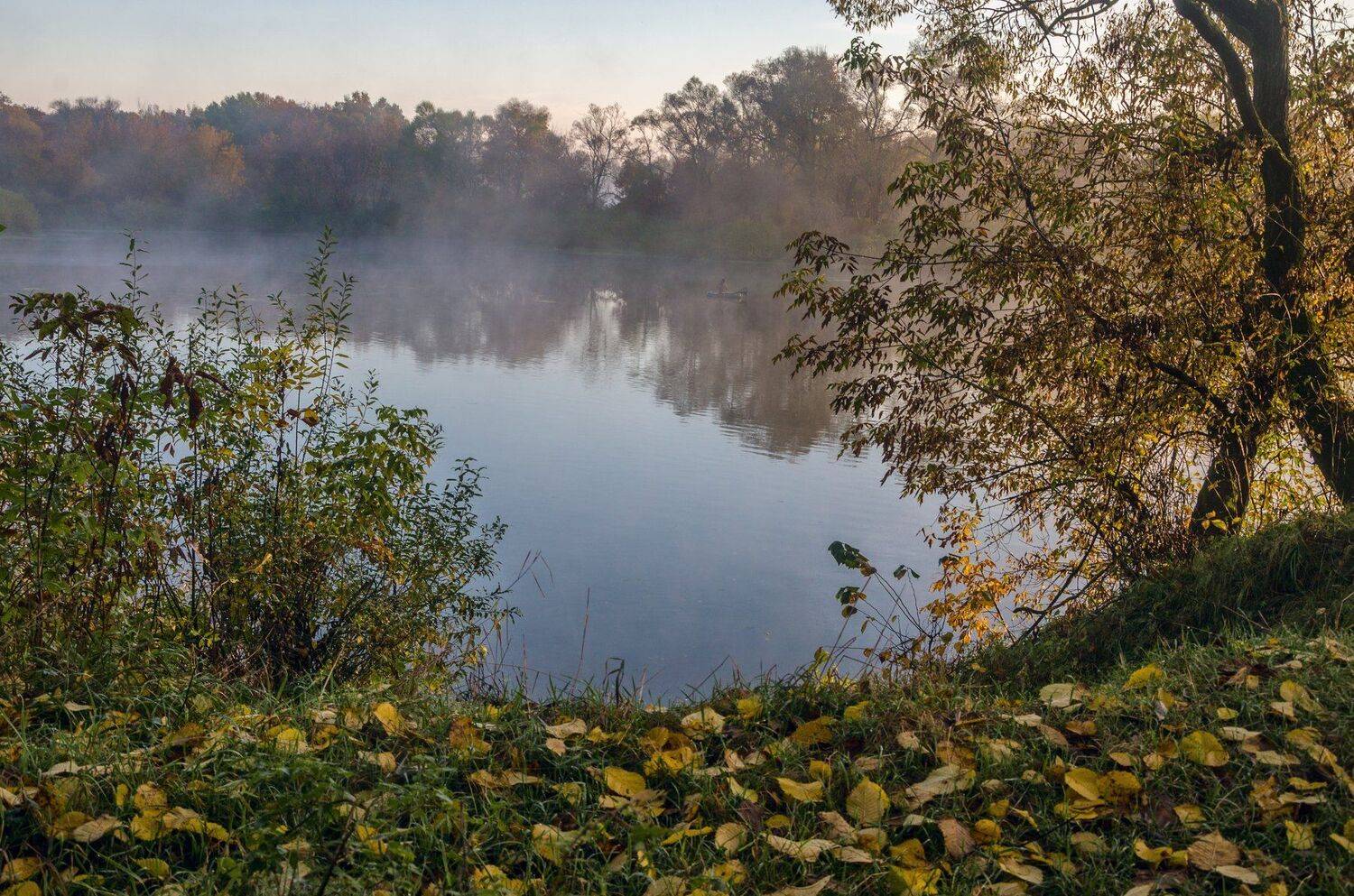 , Александр Березуцкий