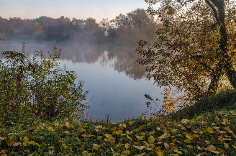 Утро на реке фото превью