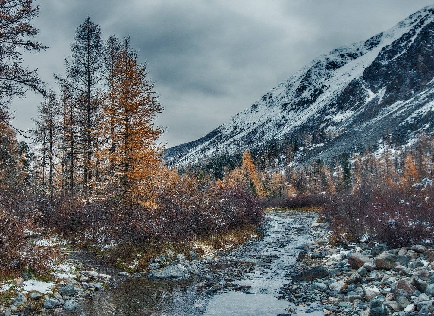 алтай, Владимир Липецких