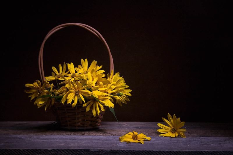 Цветы топинамбура фото превью