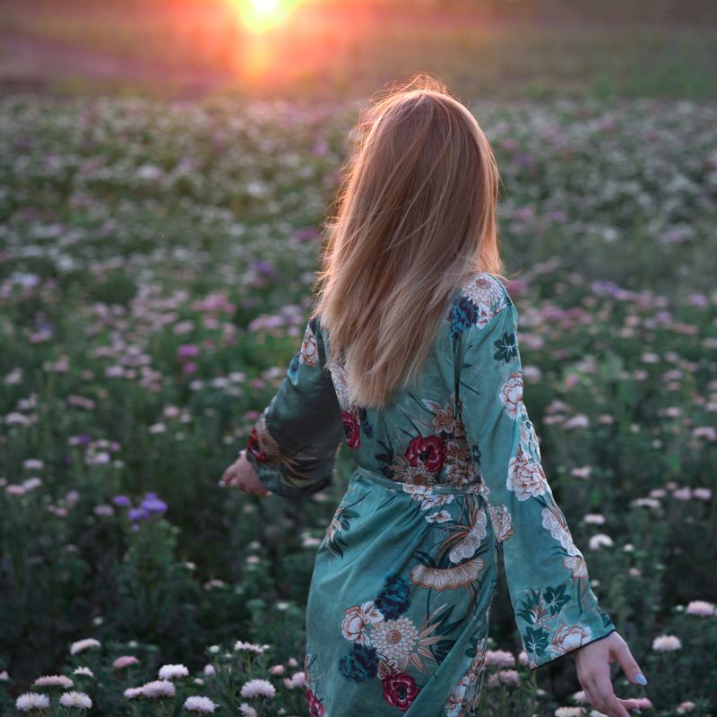 девушка, цветы, поле, астры, закат, солнце, контровый свет На закате фото превью