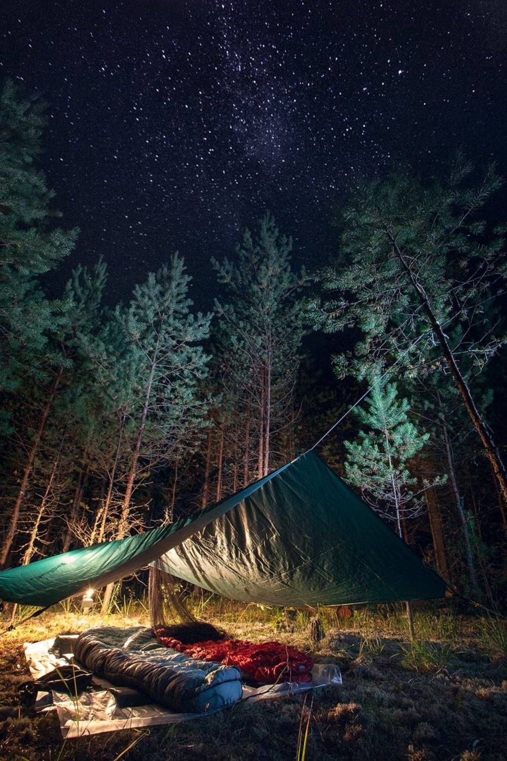 ночь, август, звезды, тент, фото, пейзаж, лучшее, night, august, stars, awning, photo, landscape, best,, Vladim_Shipulin