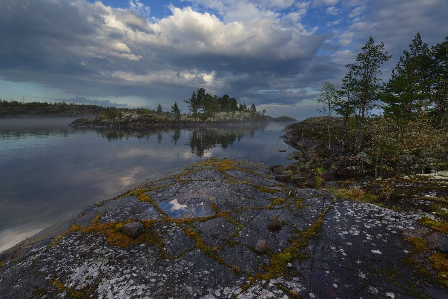 , Максим Евдокимов (www.wildphotorus.ru)