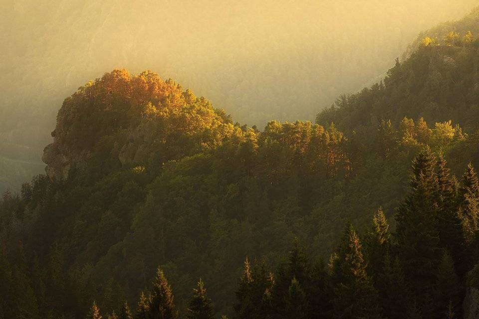 , Stefan Chirobocea
