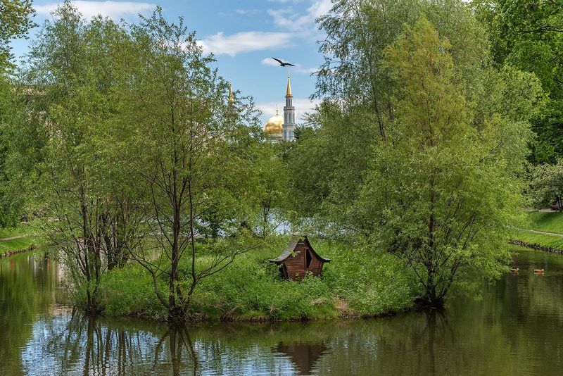 Москва, Moscow, парк, пруд, остров, домик, мечеть, птица, деревья, Екатерининский парк Пролетая над... фото превью