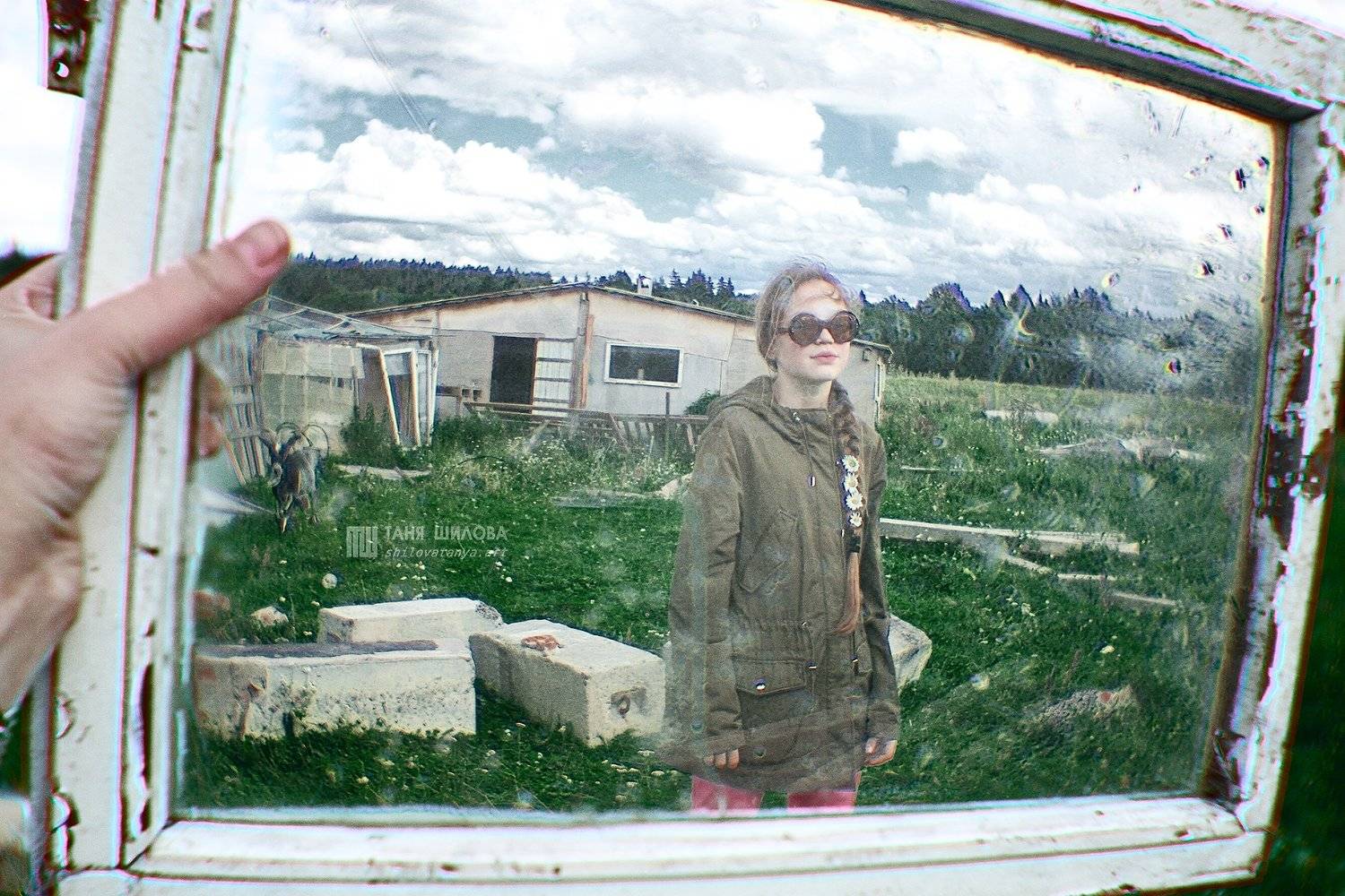 , Таня Шилова