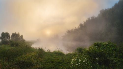 Заря Красивомечья