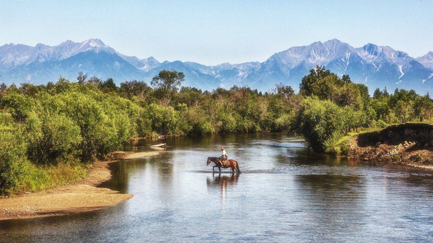 , Сергей Низовцев