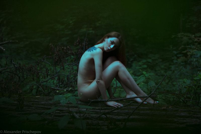 фото превью