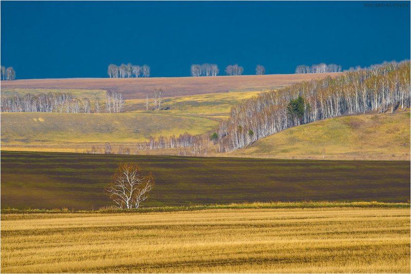 . фото превью