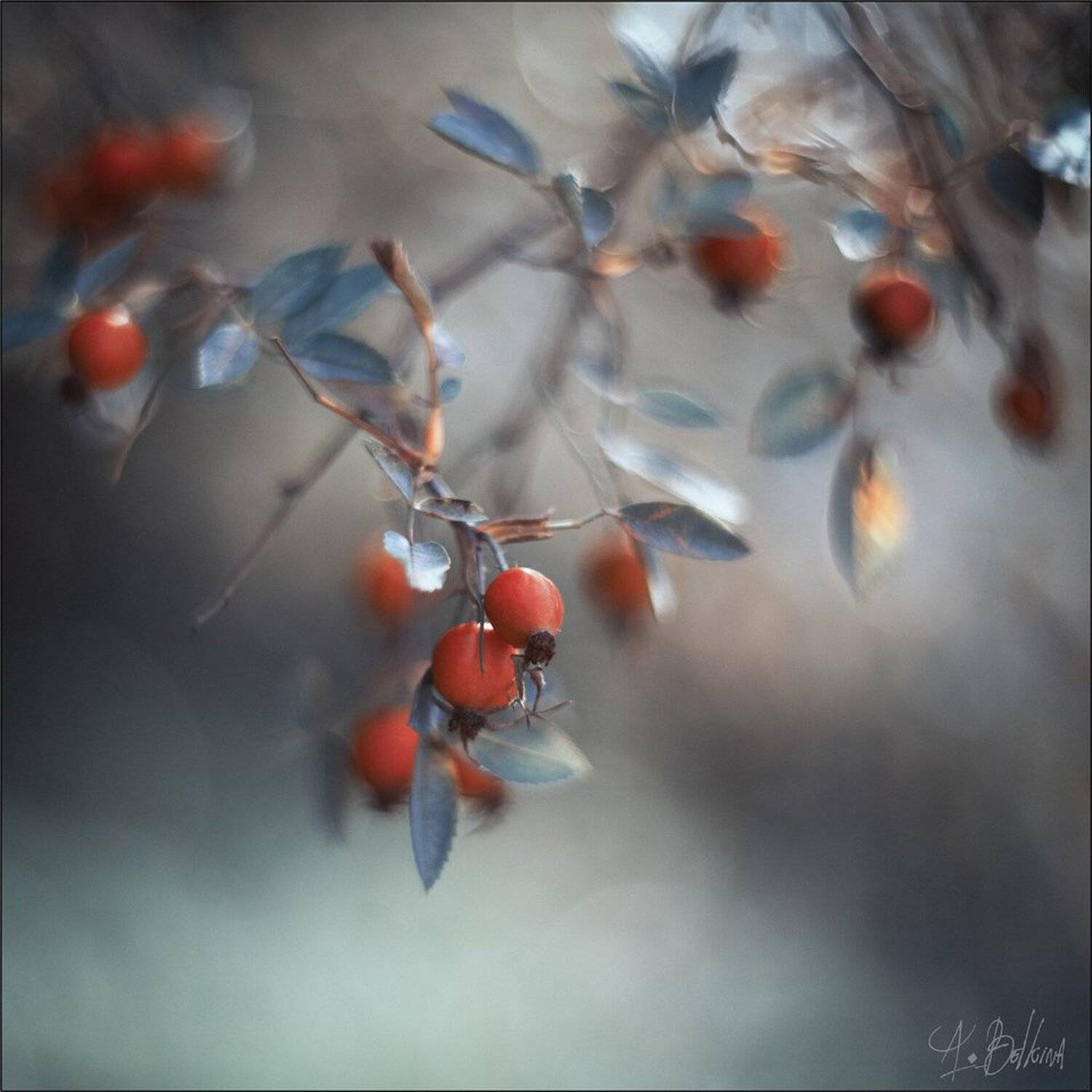 , Ариадна Белкина