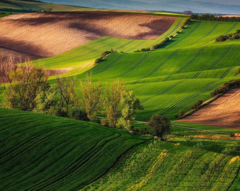 , Pawel Uchorczak