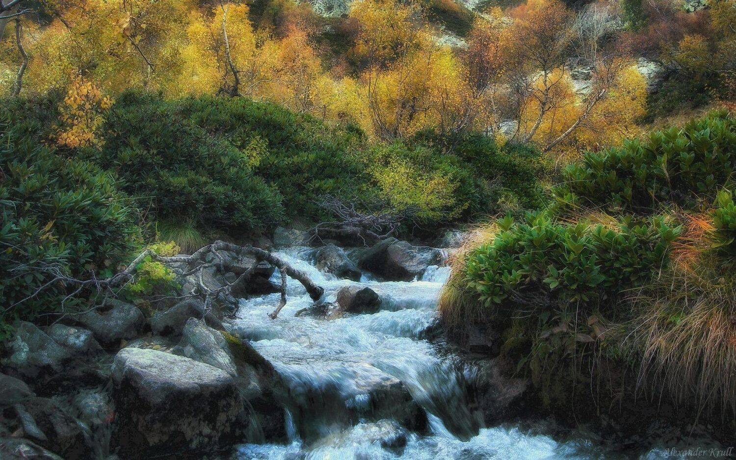 , Александр Круль