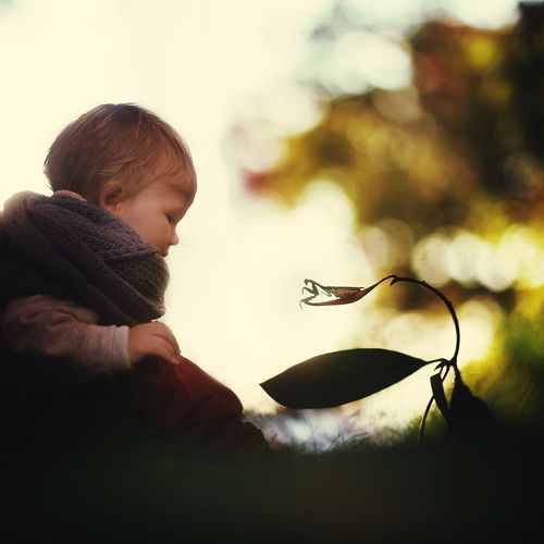 Новый друг.