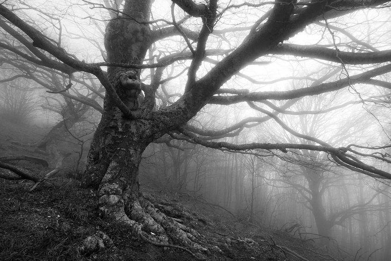 Крым в ч/б фото превью