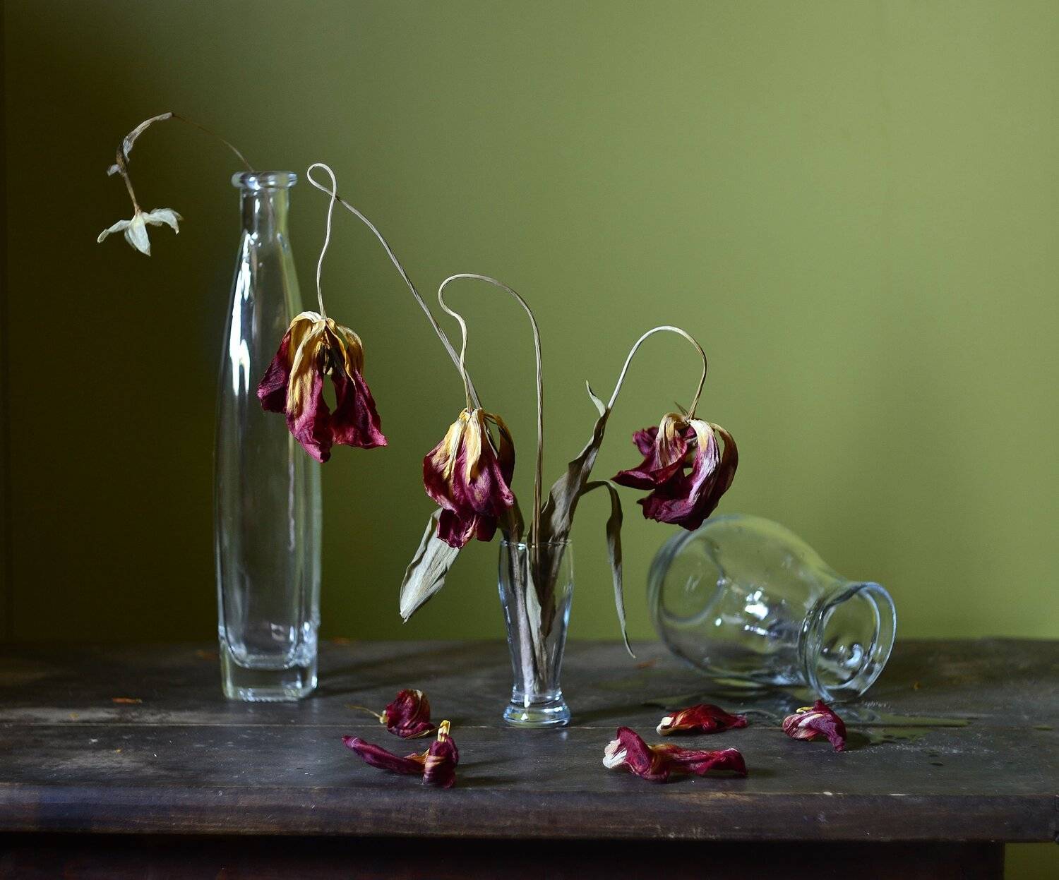 бутылка, стопка, засохшие тюльпаны, кувшин., Оксана Евкодимова