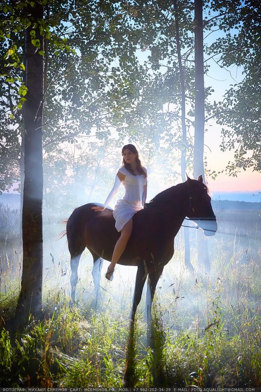 horse #михаилсеменов #фотографярославль #сертификат #подарок #фотослошадкой #аквалайт #свет #красота #модель #наездница #ночь #эквитерра Леди в белом фото превью