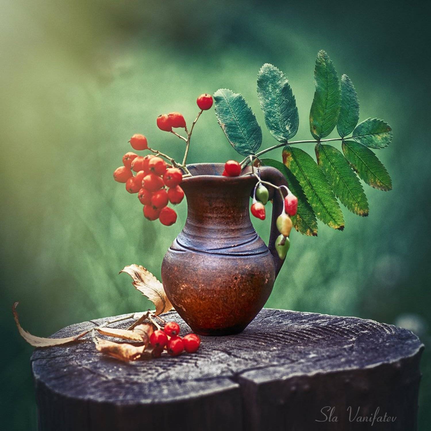 , Вячеслав Ванифатьев