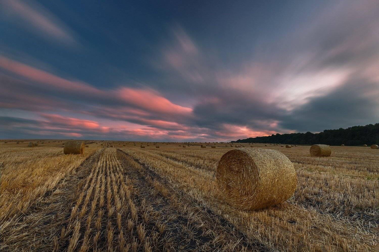 Лето, рассвет, поле, сенокос, облака, утро, Павел Попов