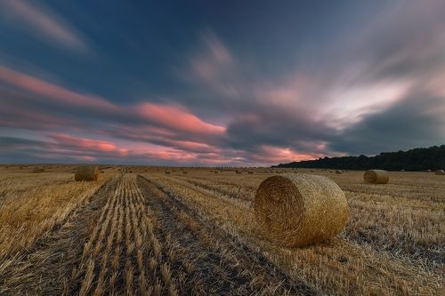 Последние дни лета