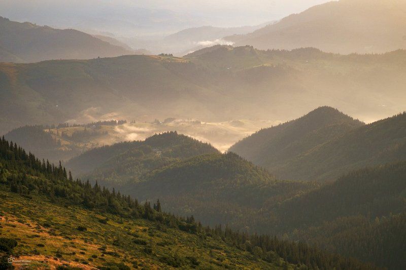 рассвет., , туман., , карпаты., , горы.  фото превью