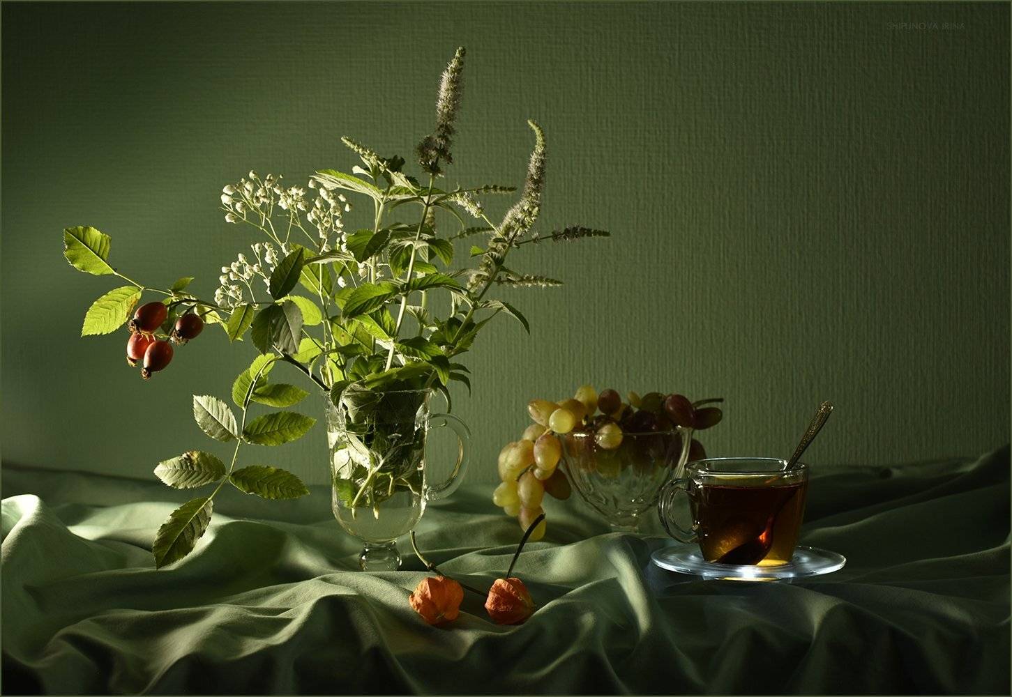 , Шипунова Ирина