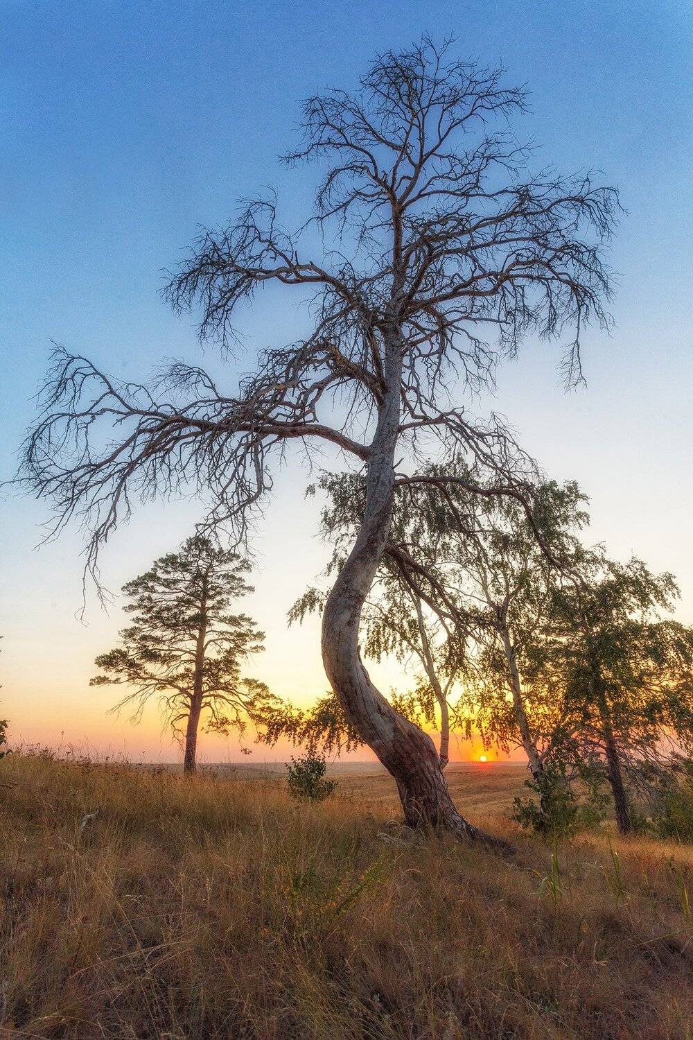 , Павел Сагайдак