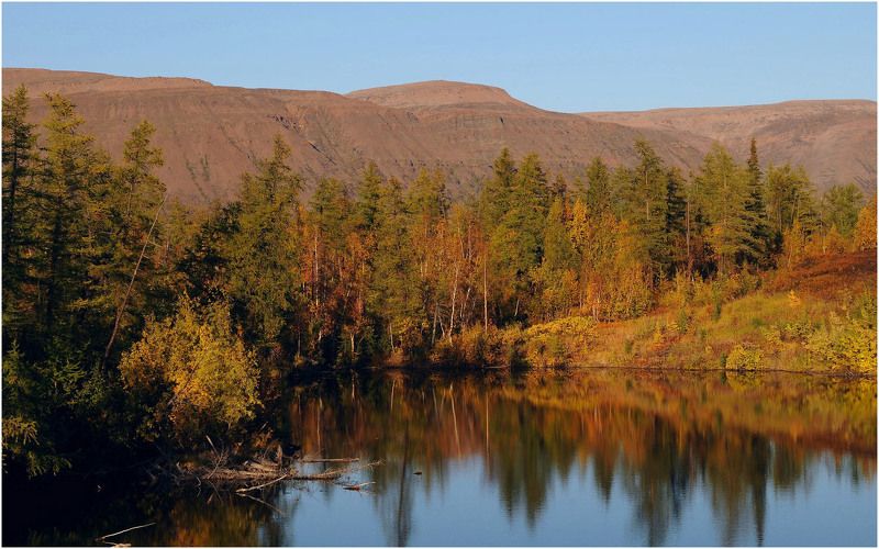Таймыр,сентябрь,осень Осенние зарисовки фото превью
