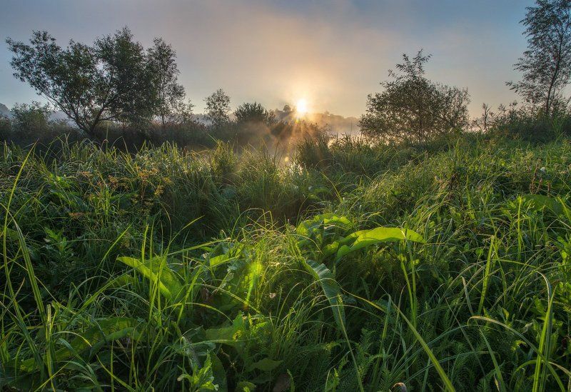 Солнце сентября.... фото превью
