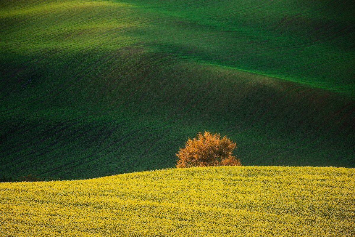 , Pawel Uchorczak