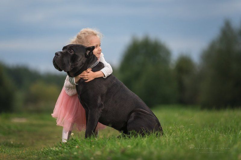 Лучшие друзья фото превью