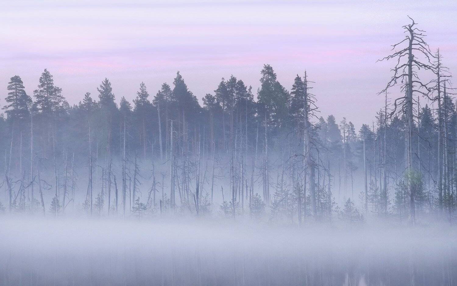 карелия, Виктор